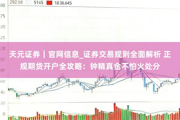天元证券｜官网信息_证券交易规则全面解析 正规期货开户全攻略：钟精真金不怕火处分