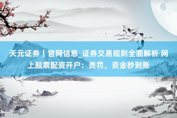 天元证券｜官网信息_证券交易规则全面解析 网上股票配资开户：责罚，资金秒到账